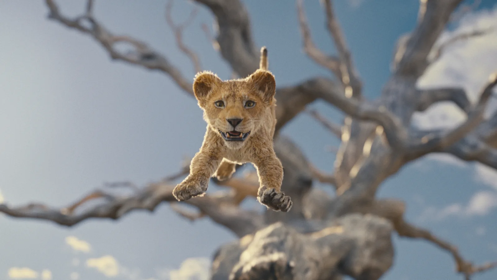 Imagen de la publicación: Disney estrena el primer teaser tráiler de 'Mufasa: El Rey León'