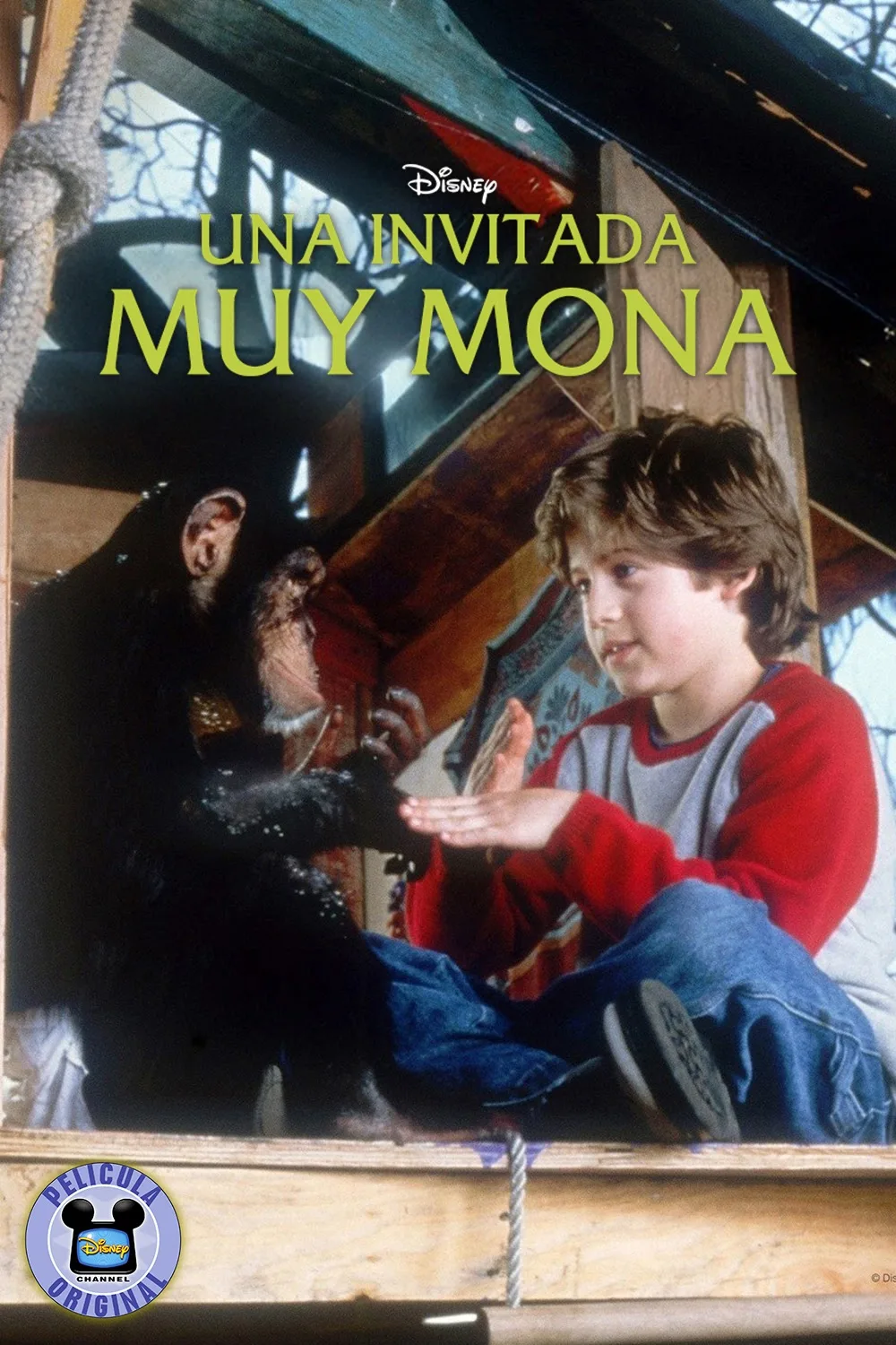 Imagen de la publicación: Películas Originales Disney Channel