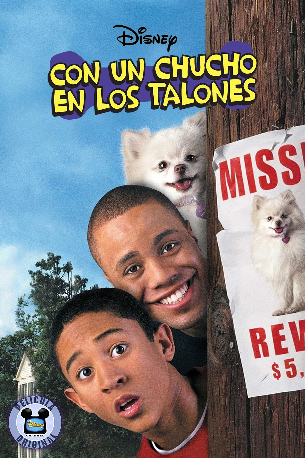 Imagen de la publicación: Películas Originales Disney Channel