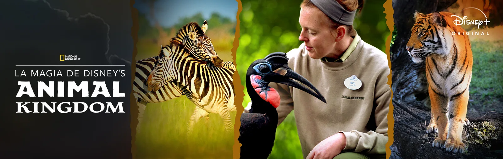 Imagen de la publicación: La Magia de Animal Kingdom de Disney